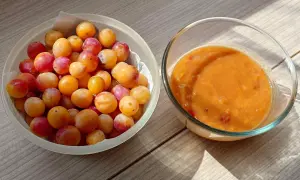 Un bol de mirabelles fraîches à côté d'un bol de compote de mirabelles maison, prêt à être dégusté.