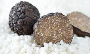 Deux truffes noires, l'une entière et l'autre coupée révélant sa chair marbrée, reposent sur un lit de riz blanc. C'est quoi la truffe ? Un trésor culinaire.