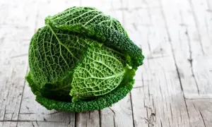 Un chou vert frisé, prêt pour la cuisson, repose sur une table en bois vieilli. Ses feuilles texturées promettent une saveur riche.