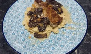 Un plat de veau aux morilles, servi sur un lit de riz crémeux, dans une assiette ornée de motifs bleus.