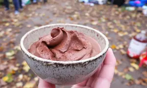 Mousse au chocolat sans oeuf, on dirait un dessert parfait pour un pique-nique automnal.