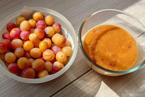 Un bol de mirabelles fraîches à côté d'un bol de compote de mirabelles maison, prêt à être dégusté.