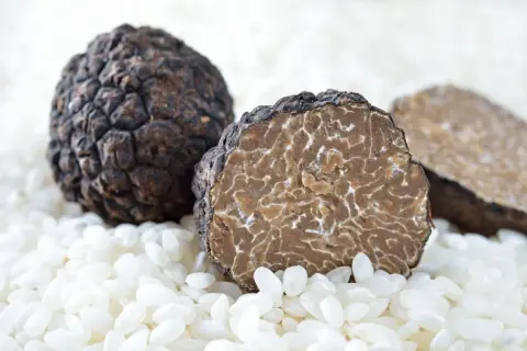 Deux truffes noires, l'une entière et l'autre coupée révélant sa chair marbrée, reposent sur un lit de riz blanc. C'est quoi la truffe ? Un trésor culinaire.