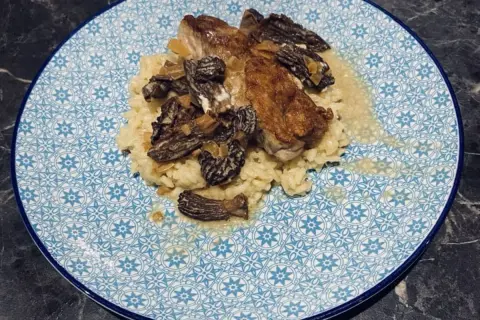 Un plat de veau aux morilles, servi sur un lit de riz crémeux, dans une assiette ornée de motifs bleus.