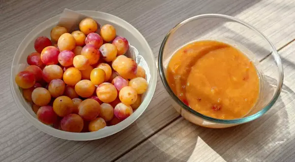 Un bol de mirabelles fraîches à côté d'un bol de compote de mirabelles maison, prêt à être dégusté.