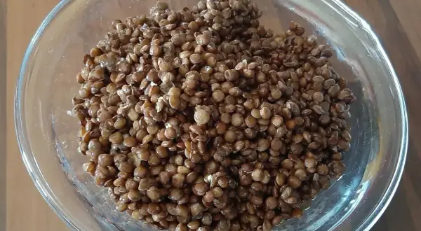 Lentilles cuites à la perfection dans une cocotte minute, prêtes à être dégustées.