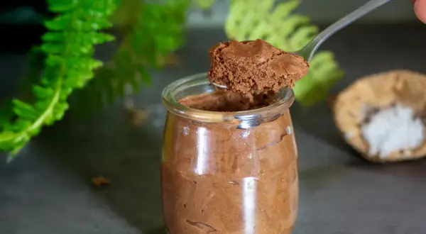 Une cuillère prélève une portion aérienne de mousse au chocolat pois chiche dans un pot en verre. Des feuilles vertes floues en arrière-plan.