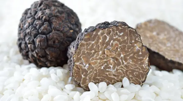 Deux truffes noires, l'une entière et l'autre coupée révélant sa chair marbrée, reposent sur un lit de riz blanc. C'est quoi la truffe ? Un trésor culinaire.