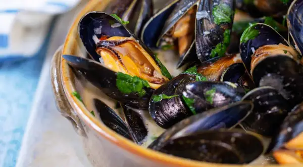 Un plat de moules à la crème, garni de persil frais. Une recette moule à la crème facile et rapide pour un repas savoureux.