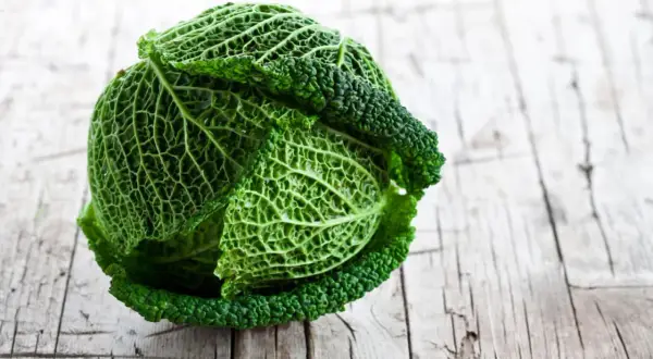 Un chou vert frisé, prêt pour la cuisson, repose sur une table en bois vieilli. Ses feuilles texturées promettent une saveur riche.