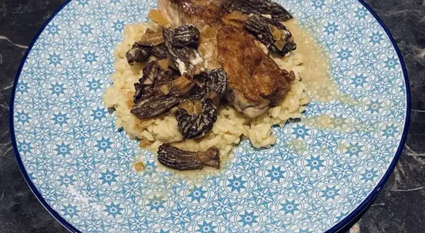 Un plat de veau aux morilles, servi sur un lit de riz crémeux, dans une assiette ornée de motifs bleus.