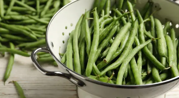 Haricots verts frais et humides dans une passoire, prêts pour la cuisson. Une belle récolte pour un plat sain.