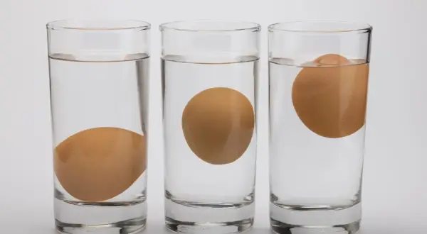 Trois verres d'eau montrent un œuf coule, un œuf flotte, et un œuf à moitié flottant, illustrant la densité.