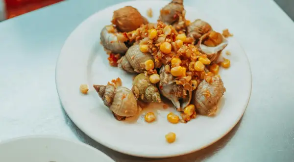 Bulots cuisinés avec maïs et épices, prêts à être dégustés après leur temps de cuisson au court-bouillon.