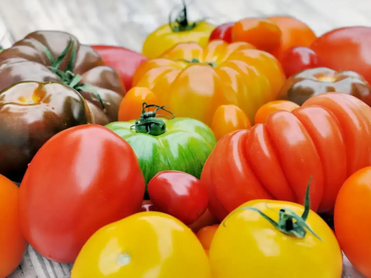 Un assortiment coloré de tomates, parfaites pour manger tomate le soir. Des rouges, jaunes, vertes et même des tomates brunes.