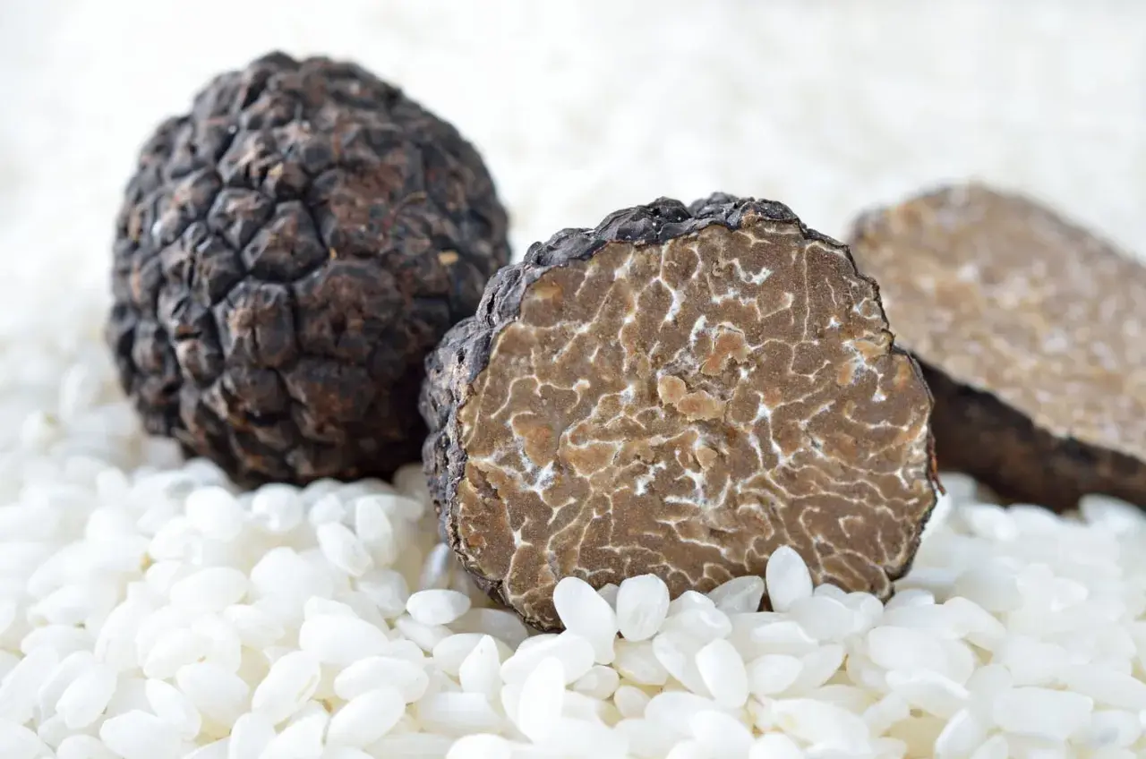 Deux truffes noires, l'une entière et l'autre coupée révélant sa chair marbrée, reposent sur un lit de riz blanc. C'est quoi la truffe ? Un trésor culinaire.