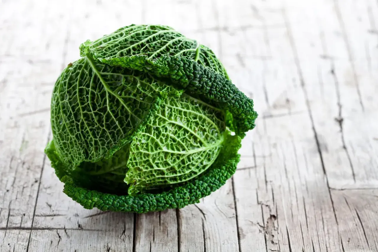 Un chou vert frisé, prêt pour la cuisson, repose sur une table en bois vieilli. Ses feuilles texturées promettent une saveur riche.