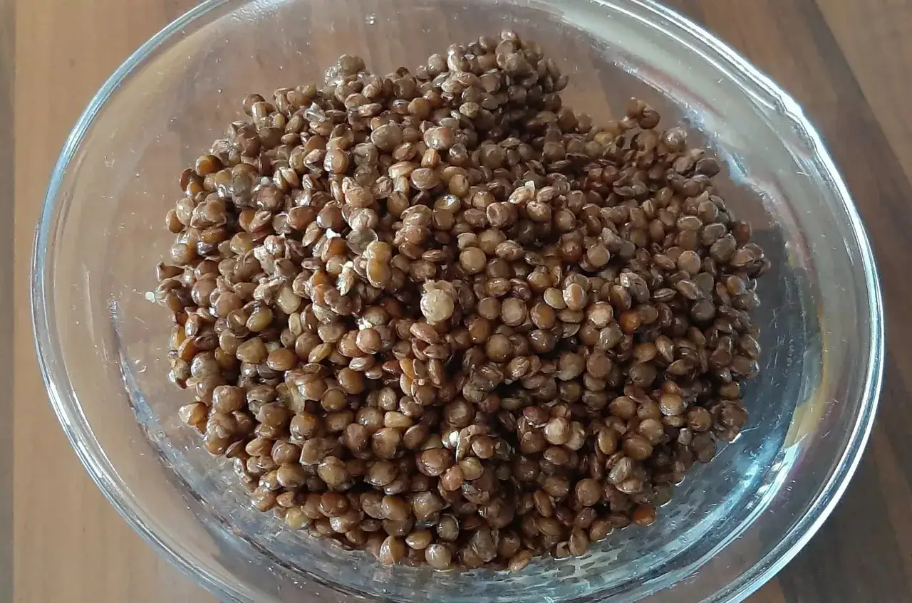 Lentilles cuites à la perfection dans une cocotte minute, prêtes à être dégustées.