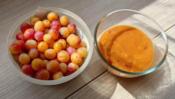 Un bol de mirabelles fraîches à côté d'un bol de compote de mirabelles maison, prêt à être dégusté.