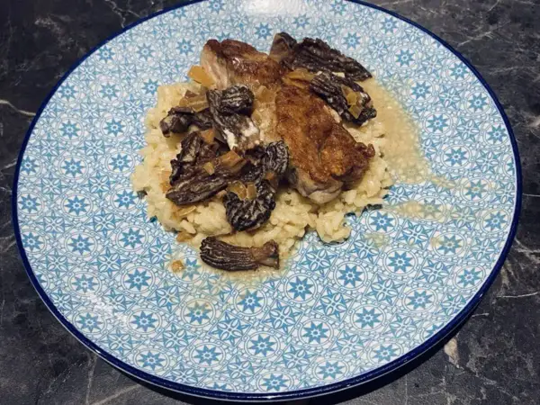 Un plat de veau aux morilles, servi sur un lit de riz crémeux, dans une assiette ornée de motifs bleus.