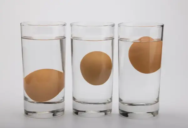 Trois verres d'eau montrent un œuf coule, un œuf flotte, et un œuf à moitié flottant, illustrant la densité.